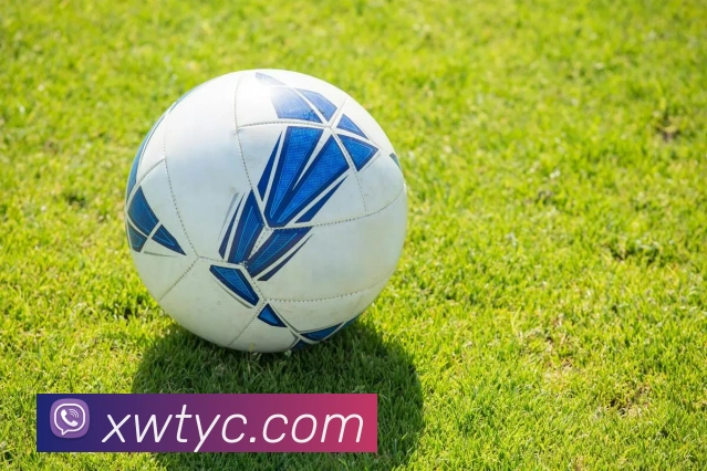 太阳城网站平台生态图