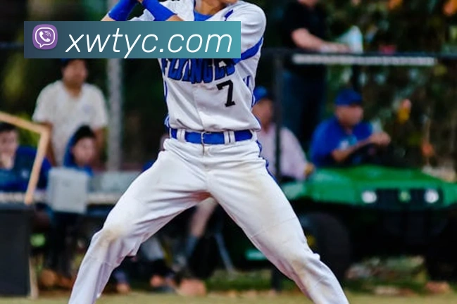 太阳城网站APP 封面图